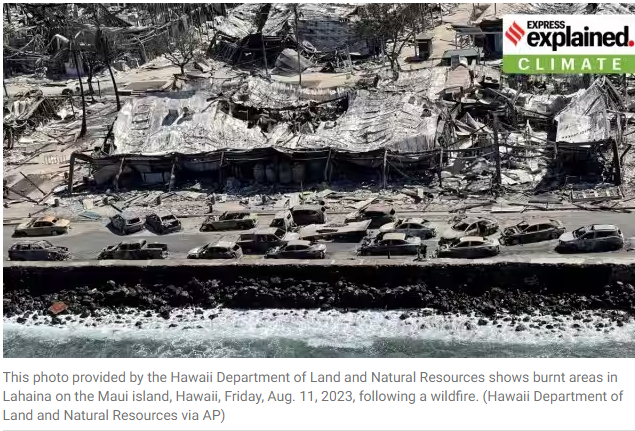 Disaster Management in the Face of Climate Change: Analyzing the Hawaii Wildfires
